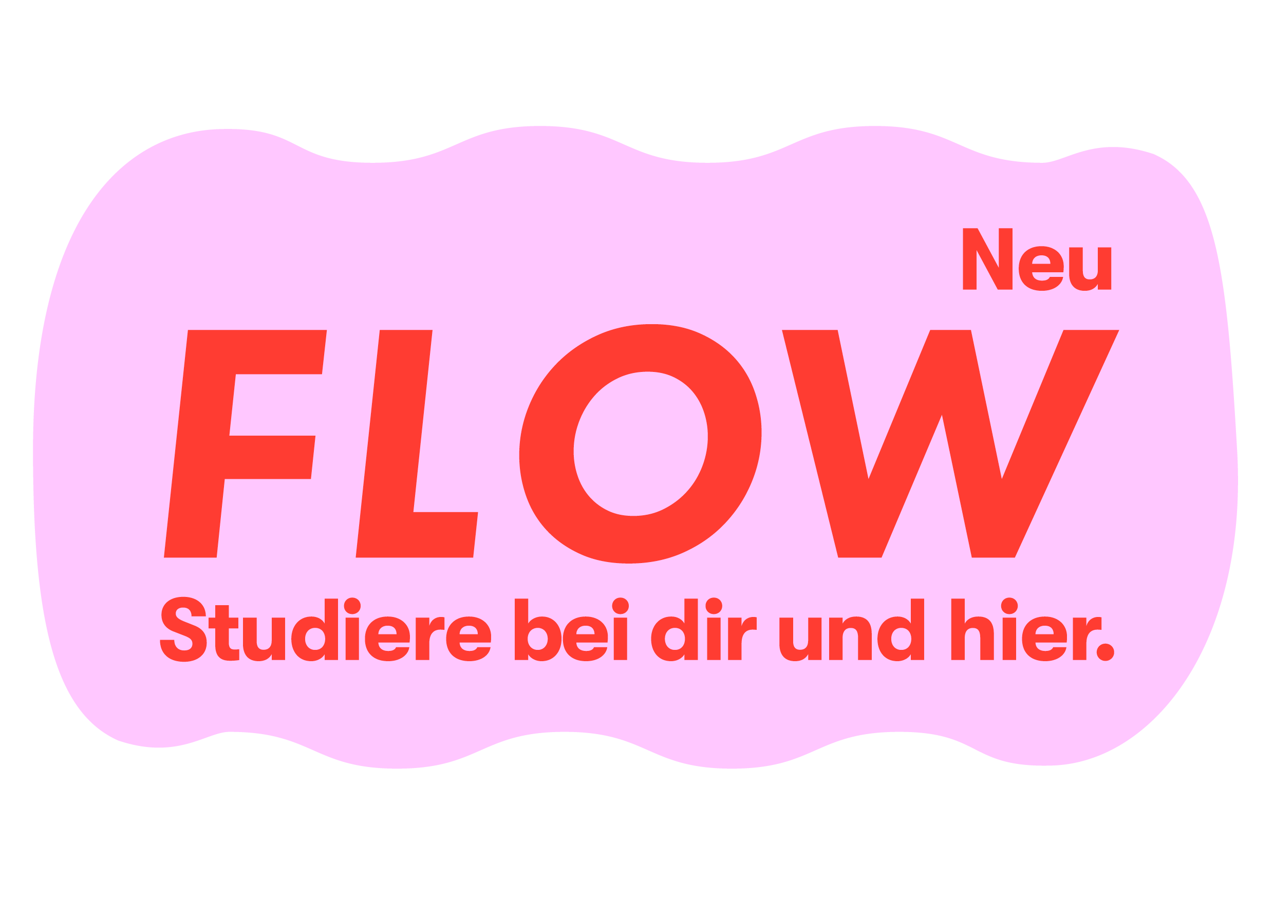 FLOW Studiere bei dir und hier